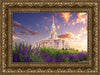 Payson Temple Blooming Lavender