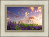 Payson Temple Blooming Lavender