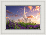 Payson Temple Blooming Lavender