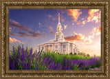 Payson Temple Blooming Lavender