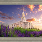 Payson Temple Blooming Lavender