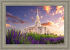 Payson Temple Blooming Lavender