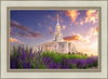 Payson Temple Blooming Lavender