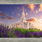 Payson Temple Blooming Lavender