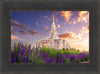 Payson Temple Blooming Lavender