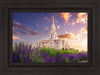 Payson Temple Blooming Lavender