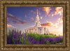 Payson Temple Blooming Lavender