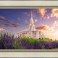 Payson Temple Blooming Lavender