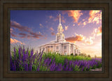 Payson Temple Blooming Lavender