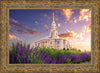 Payson Temple Blooming Lavender