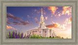 Payson Temple Blooming Lavender