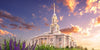 Payson Temple Blooming Lavender