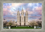 Salt Lake a Glimpse of Heaven