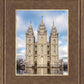 Salt Lake Reflecting Eternity
