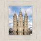Salt Lake Reflecting Eternity