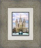 Salt Lake Temple Spring Fountain