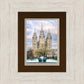 Salt Lake Temple Spring Fountain
