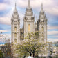 Salt Lake Temple Spring Fountain