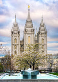 Salt Lake Temple Spring Fountain