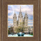 Salt Lake Temple Spring Fountain