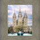 Salt Lake Temple Spring Fountain