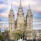 Salt Lake Temple Spring Fountain