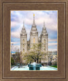 Salt Lake Temple Spring Fountain