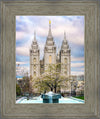 Salt Lake Temple Spring Fountain