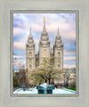 Salt Lake Temple Spring Fountain