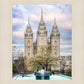 Salt Lake Temple Spring Fountain
