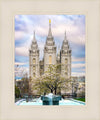 Salt Lake Temple Spring Fountain