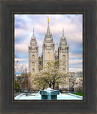 Salt Lake Temple Spring Fountain