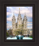 Salt Lake Temple Spring Fountain