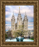 Salt Lake Temple Spring Fountain