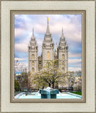 Salt Lake Temple Spring Fountain