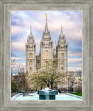 Salt Lake Temple Spring Fountain