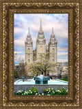 Salt Lake Temple Spring Fountain