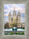 Salt Lake Temple Spring Fountain