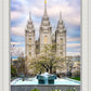 Salt Lake Temple Spring Fountain