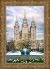 Salt Lake Temple Spring Fountain