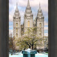 Salt Lake Temple Spring Fountain