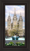 Salt Lake Temple Spring Fountain