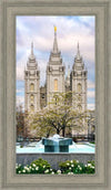 Salt Lake Temple Spring Fountain