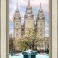 Salt Lake Temple Spring Fountain