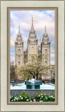 Salt Lake Temple Spring Fountain