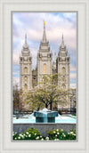 Salt Lake Temple Spring Fountain