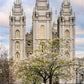 Salt Lake Temple Spring Fountain
