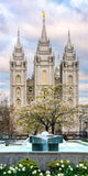 Salt Lake Temple Spring Fountain