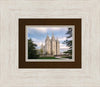 Salt Lake Temple Spring Serenity