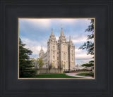 Salt Lake Temple Spring Serenity